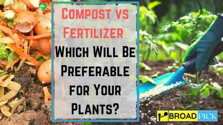 Compost vs Fertilizer- Which Will Be Preferable for Your Plants