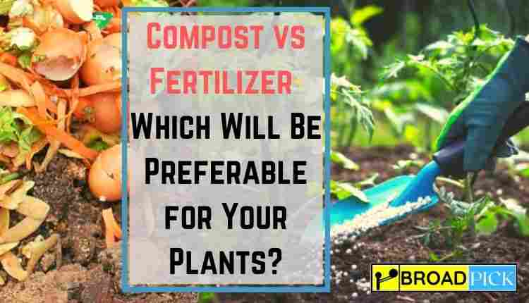 Compost vs Fertilizer- Which Will Be Preferable for Your Plants