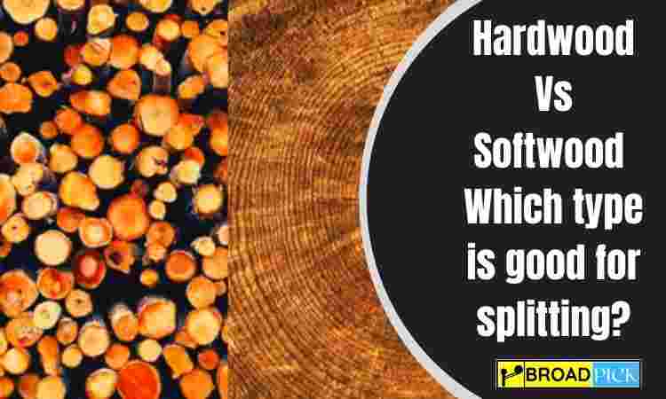 Hardwood Vs Softwood trees|| Which type is good for splitting?