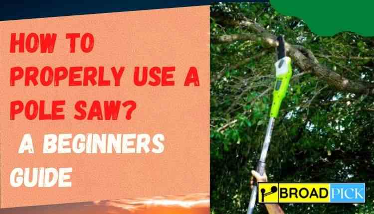 How To Properly Use a Pole Saw? A Beginners Guide !