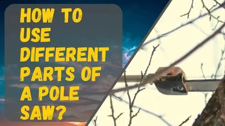 How To Use Different Parts of a Pole Saw