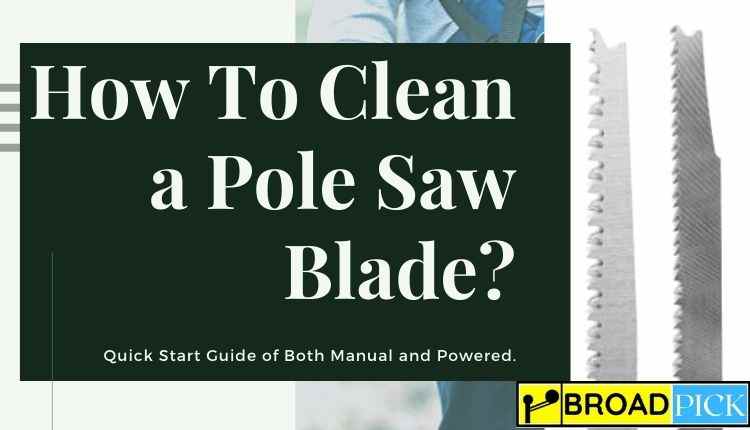 How to clean a pole saw blade