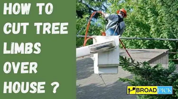 How to cut tree limbs over House