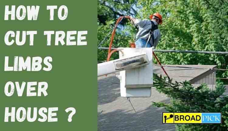 How to cut tree limbs over House