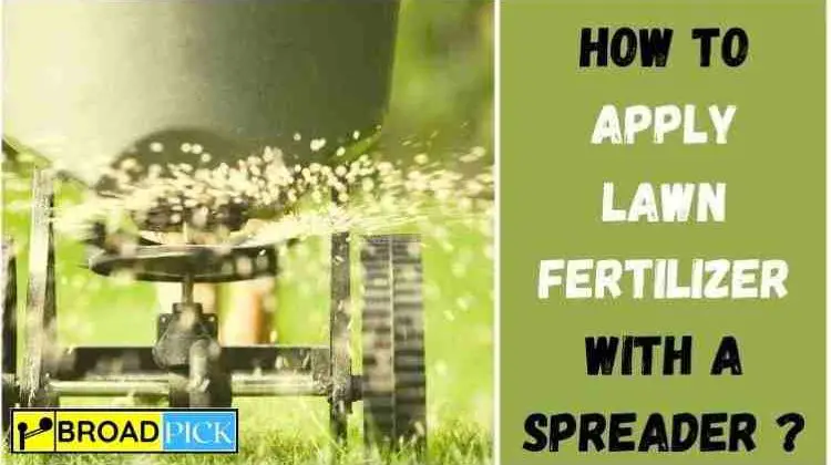 How to Apply Lawn Fertilizer With a Spreader ?