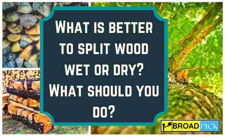 What is better to split wood wet or dry? What should you do?