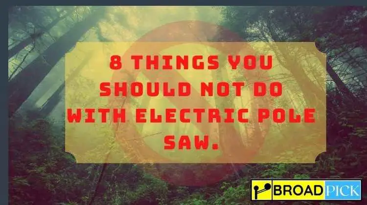 things-youshould-not-do-with-electic-pole-saw