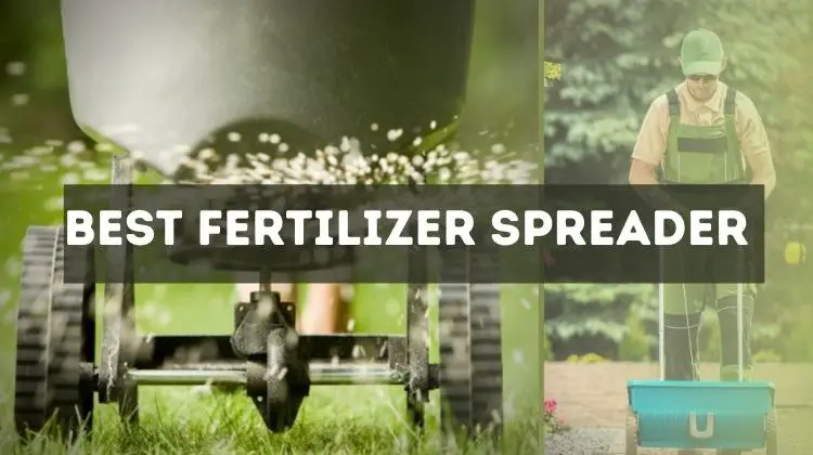 Best Fertilizer Spreader