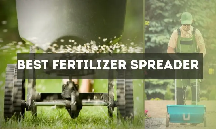 11 Best Fertilizer Spreader Reviews in 2022 And Buying Guide