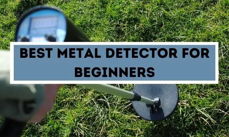 best metal detector for beginners