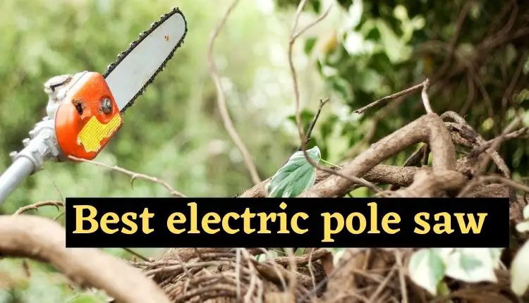 10 Best Electric Pole Saw Review in 2022 And Buying Guide [Broad- Pick And Affordable Price]