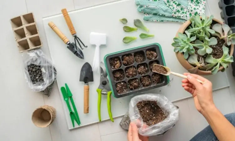 10 Garden Tool Ideas for DIY Projects: Fun and Functional Way to Organize Your Yard