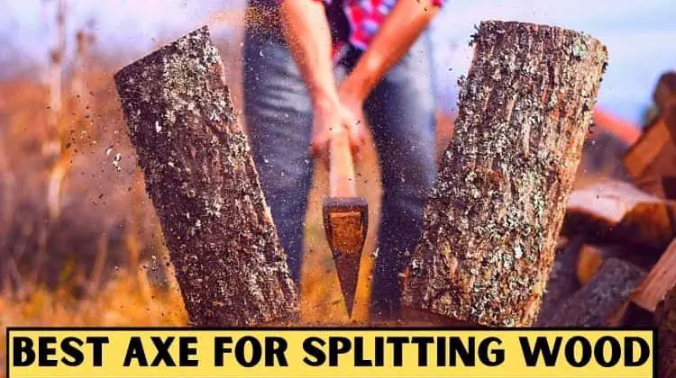 Best Axe for Splitting Wood