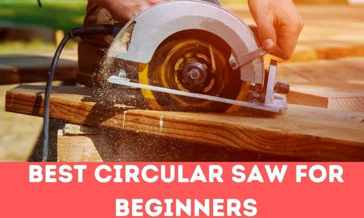 Best Circular Saw for Beginners
