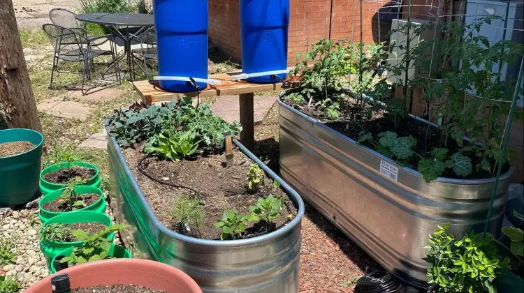 How to Water a Garden Without Running Water