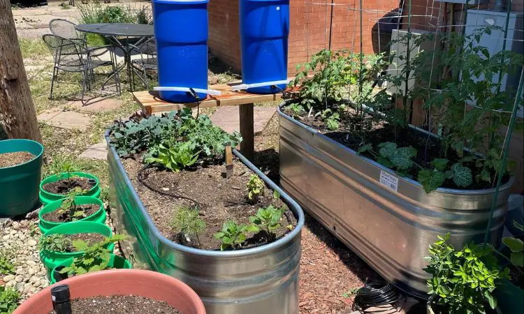How to Water a Garden Without Running Water? (6 Real Solution)