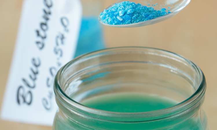 How to Use Copper Sulphate in The Garden? (5 Practical Use)   