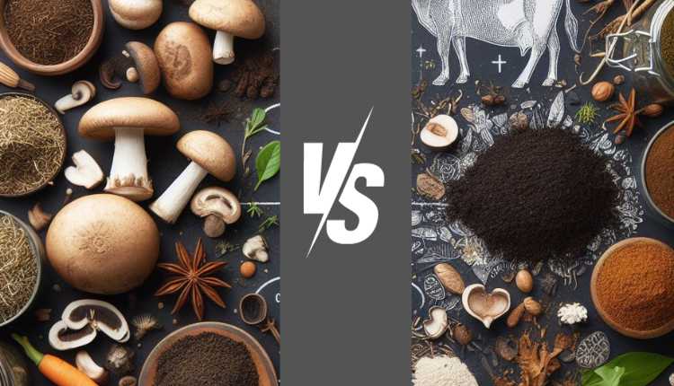 Mushroom Compost Vs Cow Manure: Know From Agriculturist?