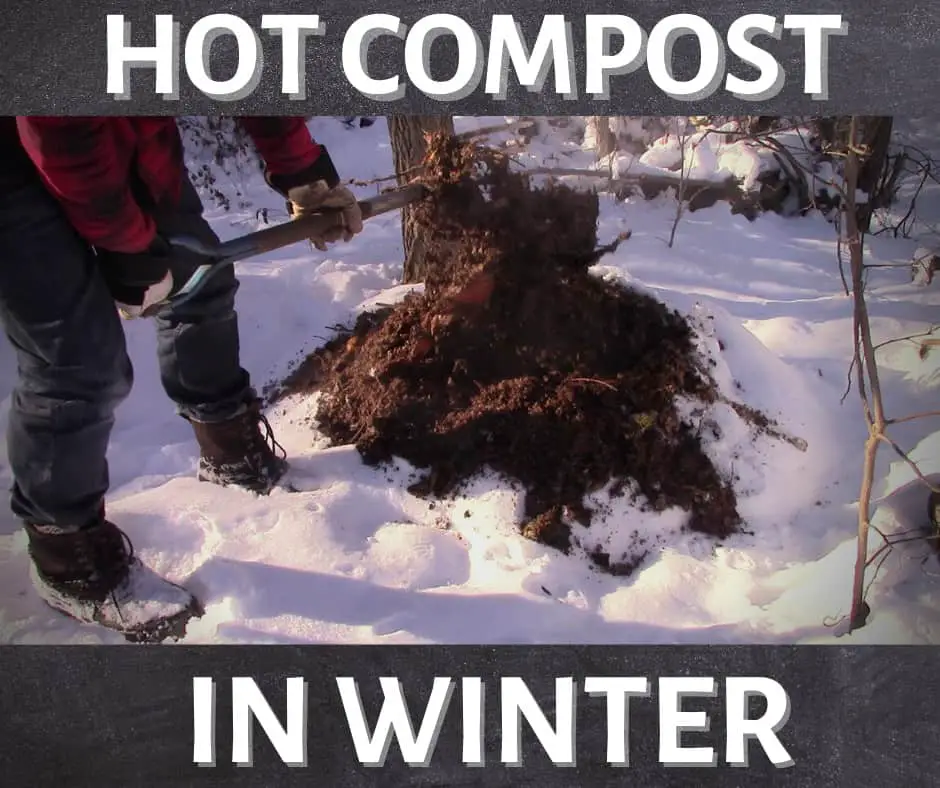 How To Speed Up Compost In Winter 