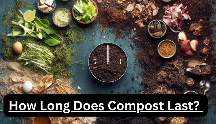 How Long Does Compost Last? (Answered)