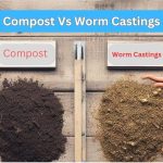Compost-Vs-Worm-Castings-1