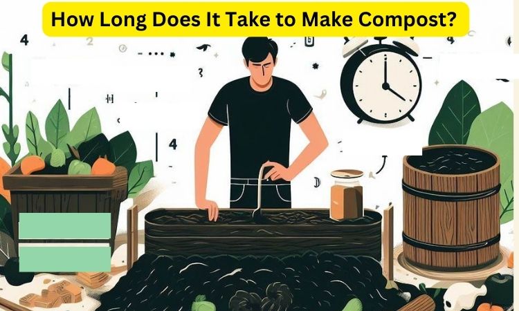 How Long Does It Take to Make Compost? ( A Quick Guide)
