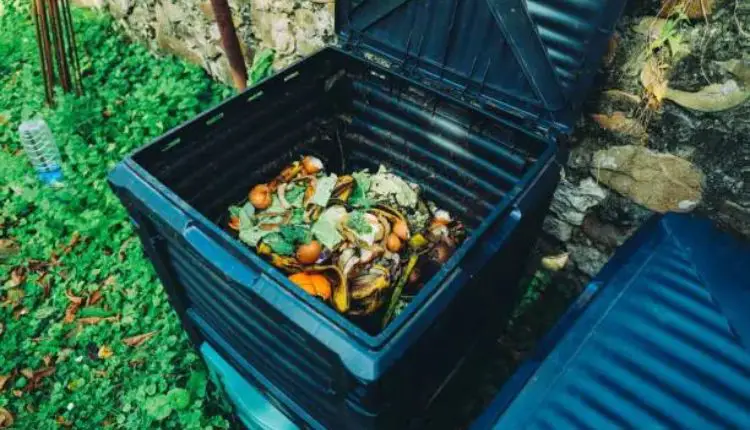 How to Kickstart Your Compost Tumbler? ( Expert Tips for Beginners)