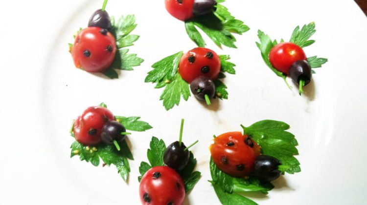 Are Ladybugs Good for Tomato Plants