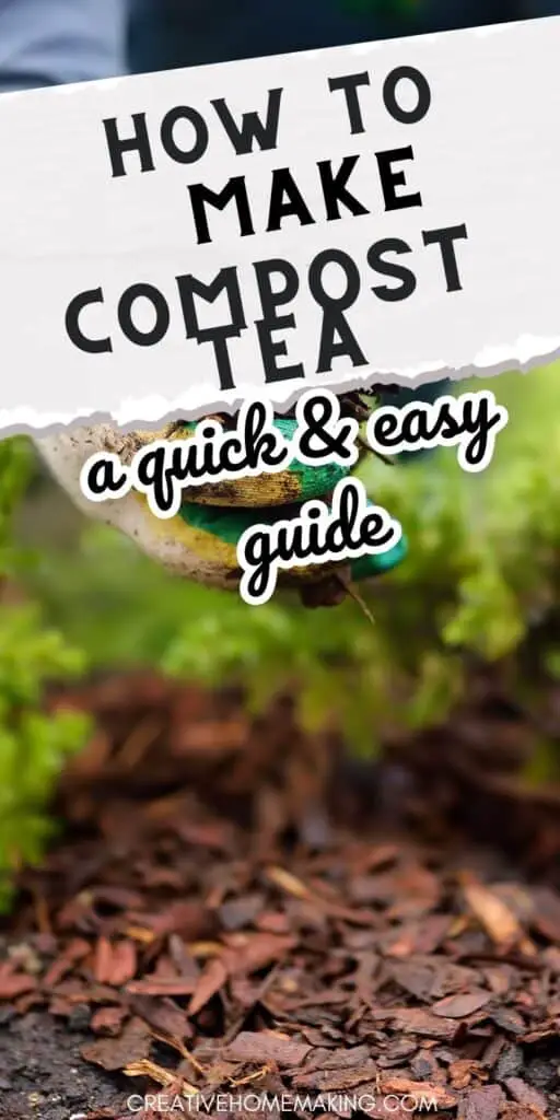 How Long Does It Take to Make Compost: A Quick Guide
