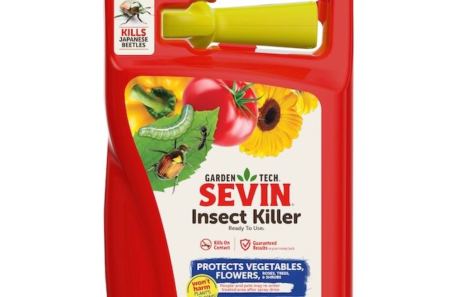 How Long Does It Take Sevin to Kill Japanese Beetles
