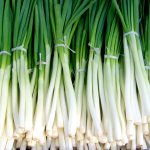 green onions, new onion, vegetables