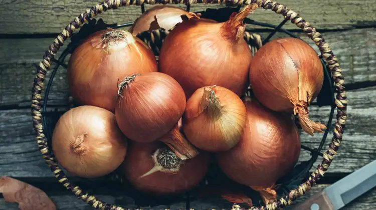 Best Onion to Grow for Storage