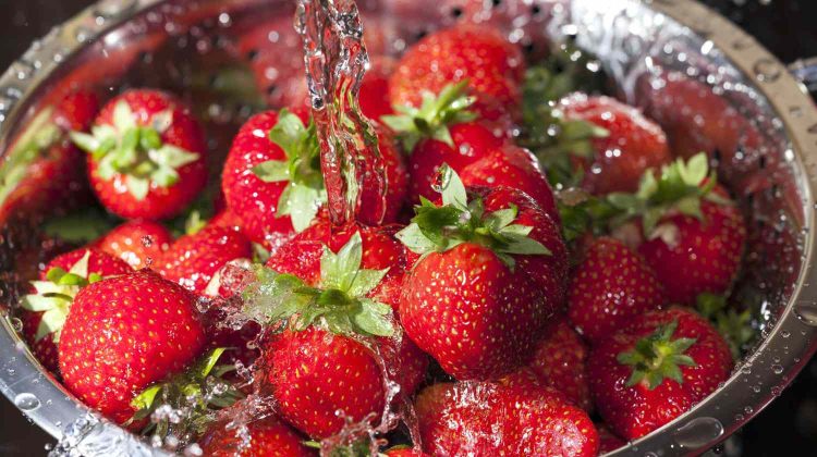 Best Ways To Wash Strawberries ( When And How To)