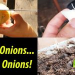 How to Grow Your Own Onions