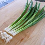How to Make Green Onion Grow