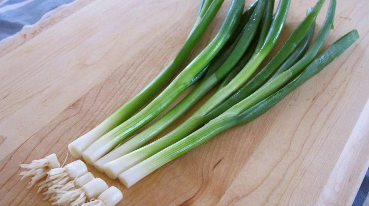 How to Make Green Onion Grow