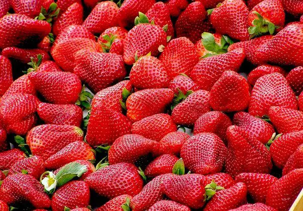 What are the Pros And Cons of Strawberries