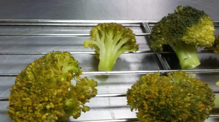 What If Broccoli Turns Brown?