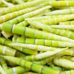 Are All Bamboo Shoots Edible