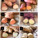 Compare Sweet Potato Varieties