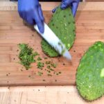 How to Prepare Nopales to Eat