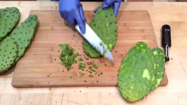 How to Prepare Nopales to Eat
