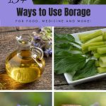 How to Use Borage