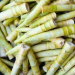 What are Bamboo Shoots Good for