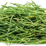 What is Sea Beans