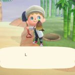 What to Do With Bamboo Shoots Animal Crossing