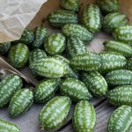 When to Pick Cucamelons