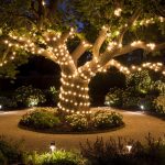 a-magical-garden-scene-at-night-with-a-large-tree–Iflc5iK3RcSq9F0O4TTN4A-DiJp22HwQW2KfVq9TJ5rFQ